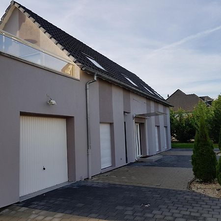 Gites Spa Strasbourg - Villa Cerf - Spa Prive, Sauna, Borne D'Arcade, Babyfoot Ittenheim Buitenkant foto