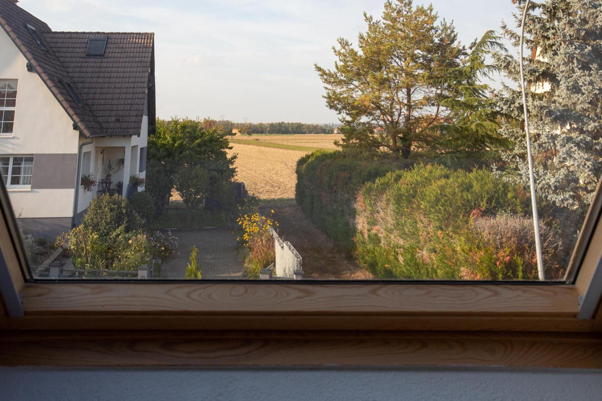 Gites Spa Strasbourg - Villa Cerf - Spa Prive, Sauna, Borne D'Arcade, Babyfoot Ittenheim Buitenkant foto